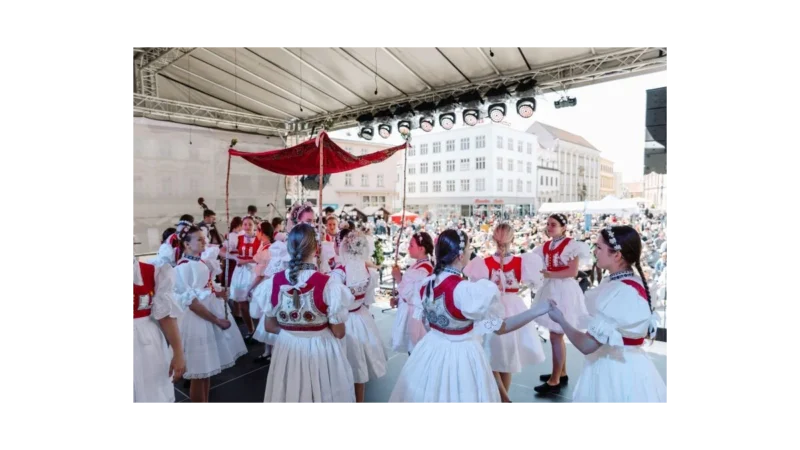 Objevte festival vína VOC Znojmo 2026 plný zážitků