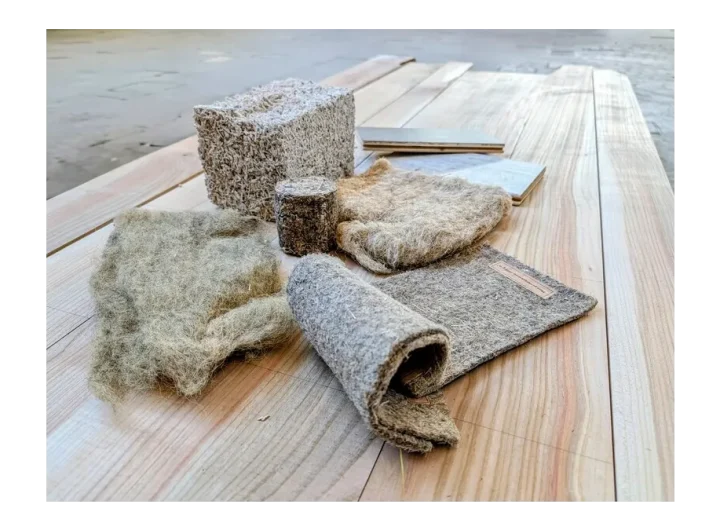 Buřinka podporuje konopný stavební materiál