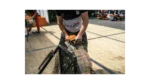 Závod TIMBERSPORTS v Lanškrouně: Kdo uspěje?