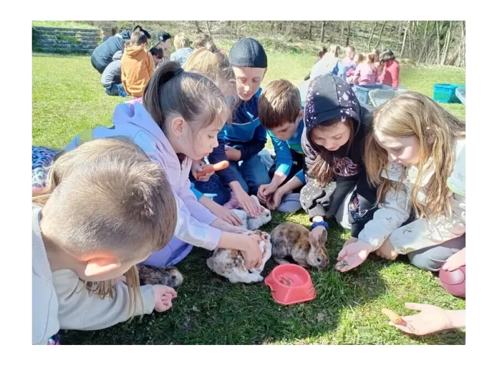 Děti v Ústeckém kraji a projektové ekologie