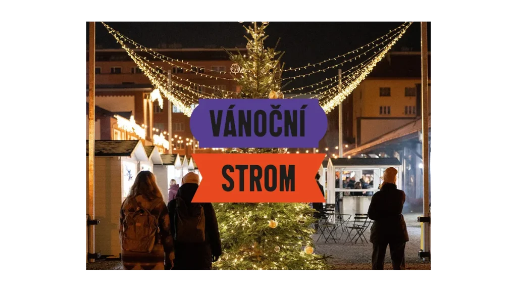 Soutěž o nejkrásnější vánoční strom v tržnici