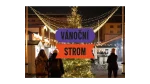 Soutěž o nejkrásnější vánoční strom v tržnici