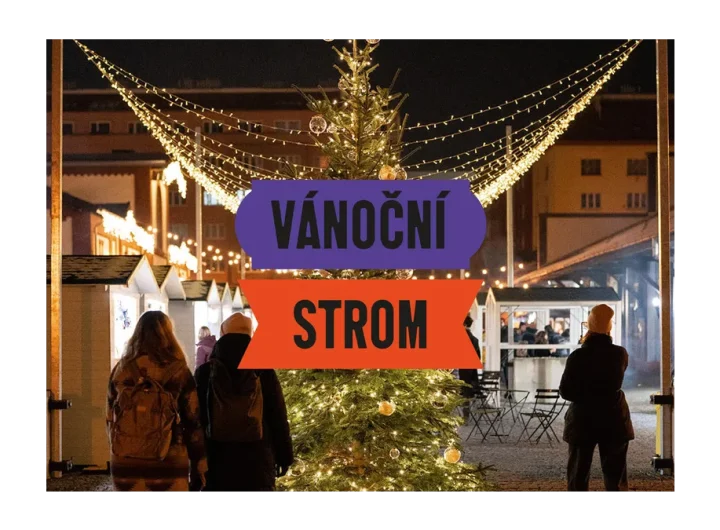 Soutěž o nejkrásnější vánoční strom v tržnici