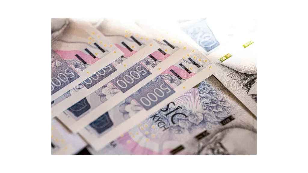 CFO: Revoluční platforma pro české firmy