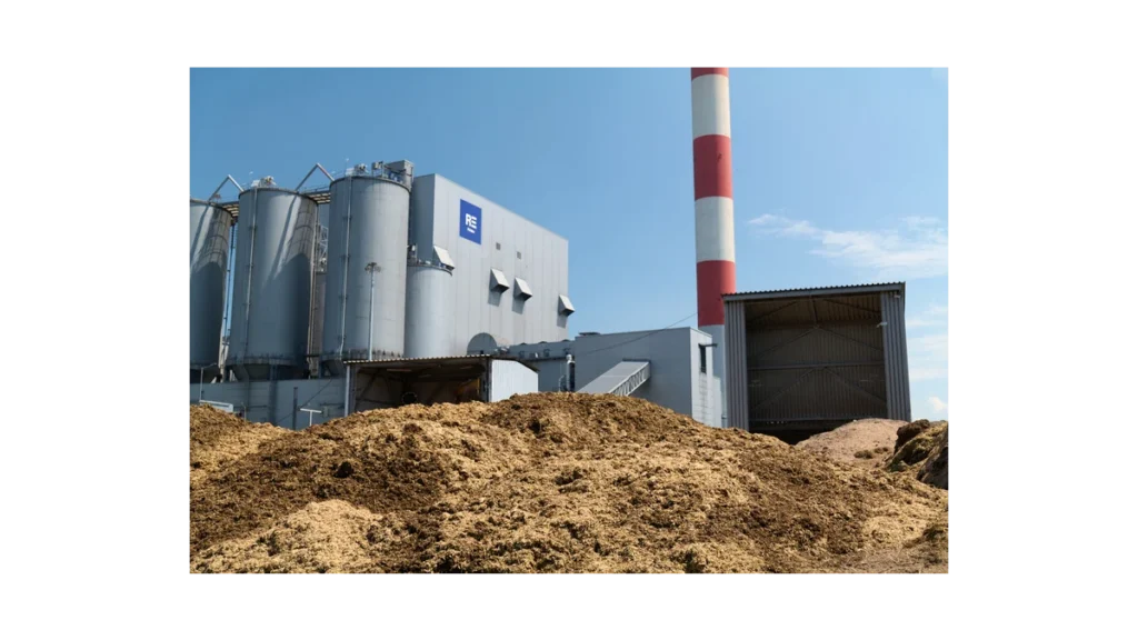 Biomasa v ČR: Spotřeba roste překotně o 20 %