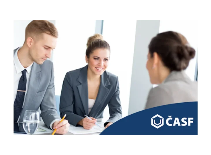 Poradenství a jeho vliv na investice v ČR