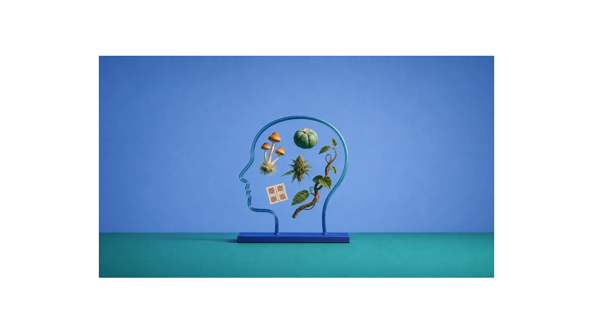 Beyond Psychedelics: Novinky v péči o duševní zdraví